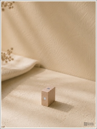 Klocek magnetyczny - 22x11x22