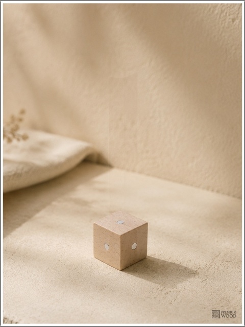 Klocek drewniany magnetyczny - 22x22x22