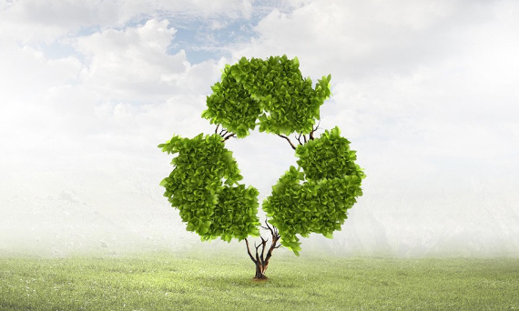 Recykling drewna – drugie życie starych desek i palet.